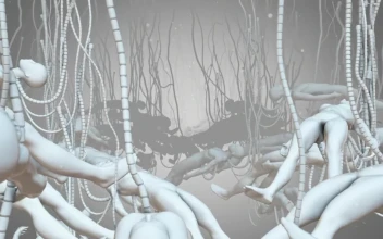 Stock Video 3d models of many floating bodies connected to tubes PC