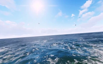 Stock Video 3d sea tour with seagulls on a sunny day PC