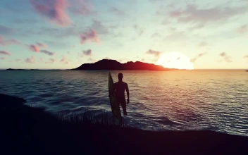 Stock Video 3d surfer on the shore of a beach in a PC