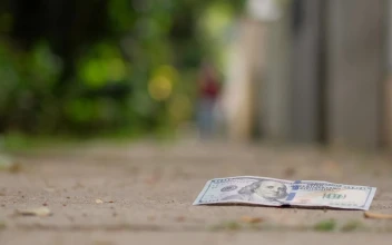 Stock Video 100 dollars thrown in the street collected by one person PC