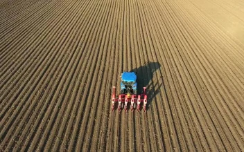 Stock Video A Blue Tractor Working On An Agricultural Field for PC