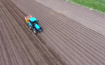 Stock Video A Blue Tractor Working On The Fields for PC