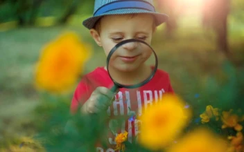 Stock Video A Boy Uses A Magnifying Glass To See Flowers for PC