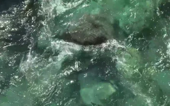 Stock Video A Clean And Clear Stream Of Water for PC