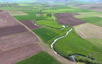 Stock Video A Curvy River Through Agricultural Fields In The Valley for PC