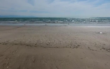 Stock Video A Deserted Beach And The Ocean for PC