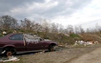 Stock Video Abandoned Cars Left To Rust In Woodland for PC