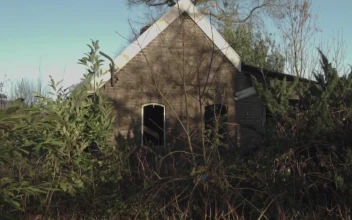 Stock Video Abandoned House In A Forest for PC