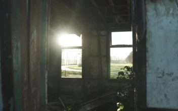 Stock Video Abandoned Spot Near A Forest for PC