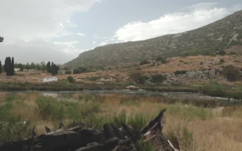 Stock Video Abandoned Wooden Boats for PC
