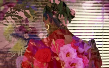 Stock Video Abstract Female Video With An Lgbtq Boy And Flowers for PC