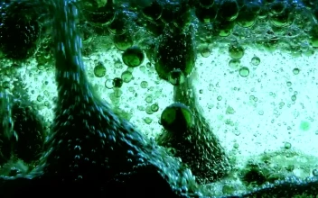Stock Video Abstract Green Oil Bubbles Under Water for PC