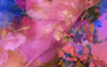 Stock Video Abstract Lgbtq Video Of A Boy Appreciating Flowers for PC