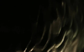 Stock Video Abstract Random Shapes Floating Up for PC