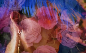 Stock Video Abstract Video Of A Gay Boy Appreciating Many Flowers for PC
