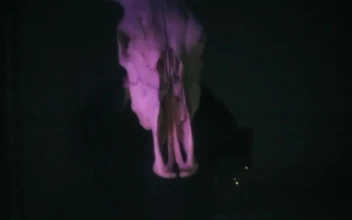 Stock Video Abstract Video Of A Person With A Bull Skull for PC