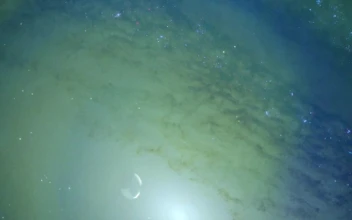 Stock Video Abstract Video Superimposed On A Large Galaxy  Larg for PC