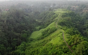 Stock Video Aerial Cinematic View Of Indonesian Jungle Road for PC