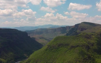 Stock Video Aerial Landscape Of A Canyon Covered With Vegetation for PC