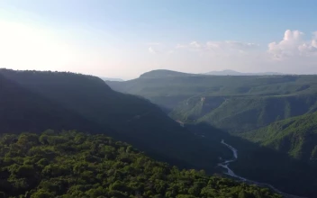 Stock Video Aerial Landscape Over A Vegetation Covered Canyon for PC