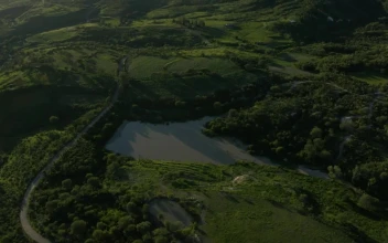 Stock Video Aerial Look At A Natural Landscape On A Sunny Day for PC