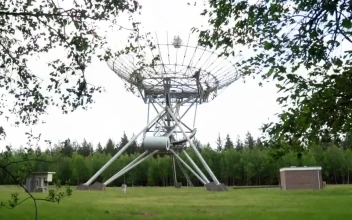 Stock Video Aerial On A Plain Surrounded By Trees for PC