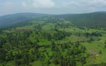 Stock Video Aerial Panorama Of A Forest Covering A Large Mountain Range  Larg for PC