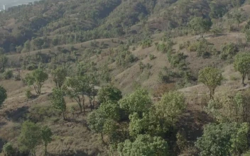 Stock Video Aerial Panorama Of A Sunny Mountain Landscape for PC