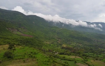 Stock Video Aerial Panorama Over A Mountainous Relief Full Of Vegetation for PC