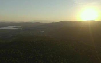 Stock Video Aerial Shot Of A Large Forest Covering The Landscape At  Larg for PC