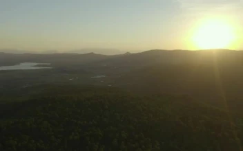 Stock Video Aerial Shot Of A Large Forest Covering The Landscape At for PC