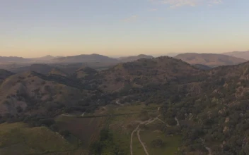 Stock Video Aerial Shot Of A Tree Covered Mountain Range for PC
