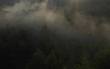 Stock Video Aerial Tour Above A Cloud Forest for PC