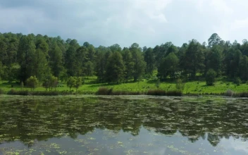 Stock Video Aerial Tour Of A Lake In The Middle Of A for PC