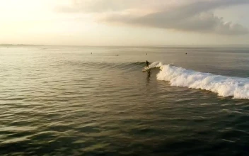 Stock Video Aerial Tracking Shot Of A Man Surfing On The Ocean for PC