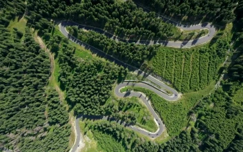 Stock Video Aerial View Of A Curvy Road Through The Forest for PC