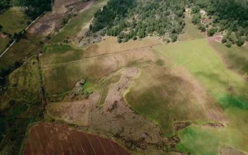 Stock Video Aerial View Of A Forested And Mountainous Landscape for PC