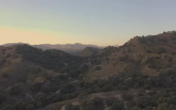 Stock Video Aerial View Of A Natural Relief Covered With Vegetation for PC