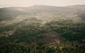 Stock Video Aerial View Of A Wooded Landscape In The Morning for PC