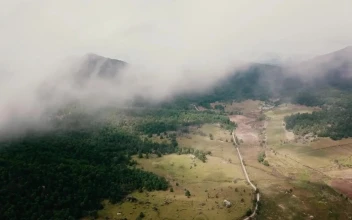 Stock Video Aerial View Of A Wooded Landscape With A Road for PC
