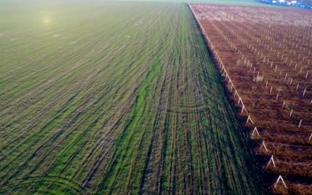 Stock Video Aerial View Of Agricultural Fields for PC