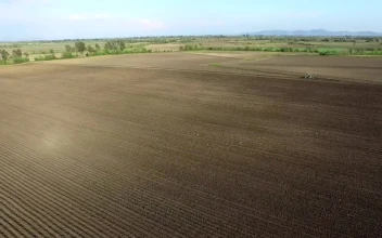 Stock Video Aerial View Of An Agricultural Field for PC