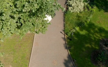 Stock Video Aerial View Of Bride And Groom Leaving Wedding for PC