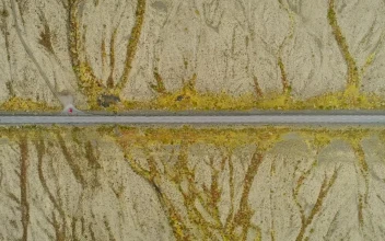 Stock Video Aerial View Of Cars Driving Through A Desert Road for PC