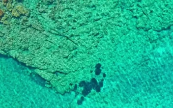 Stock Video Aerial View Of Crystal Clear Rocky Sea Shore for PC