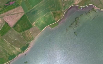 Stock Video Aerial View Of Green Crop Fields By The Lake for PC