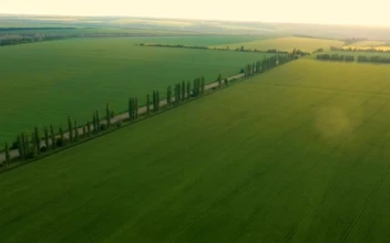 Stock Video Aerial View Of Large Agricultural Green Fields for PC