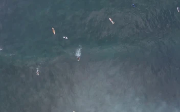 Stock Video Aerial View Of Waves And Surfers for PC