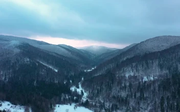 Stock Video Aerial View Of Winter Forested Mountain Landscape for PC