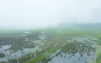 Stock Video Aerial View Over A Cloudy Meadow Covered With Water for PC